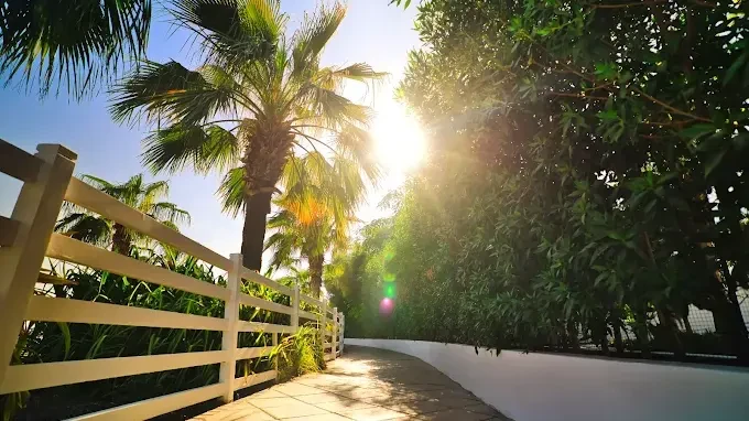 Solymar Hotel and Beach